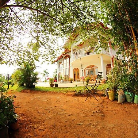 Summit View Bed & Breakfast Kandy Luaran gambar