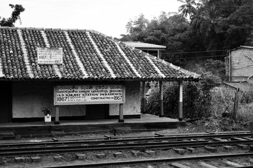 Summit View Bed & Breakfast Kandy Luaran gambar