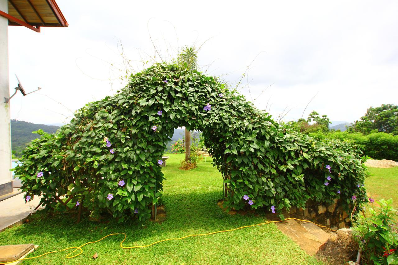 Summit View Bed & Breakfast Kandy Luaran gambar