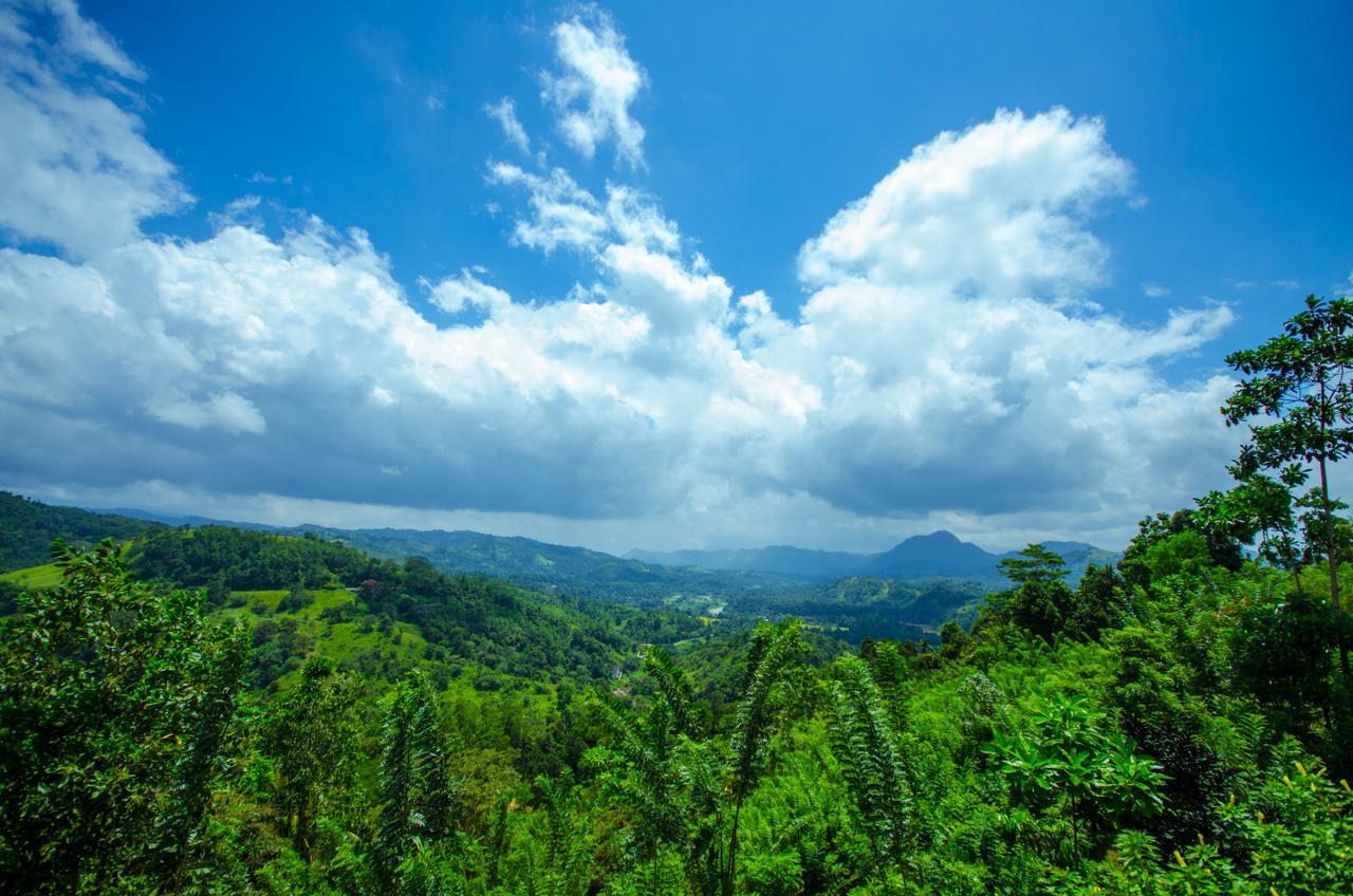 Summit View Bed & Breakfast Kandy Luaran gambar