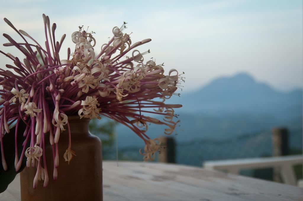 Summit View Bed & Breakfast Kandy Luaran gambar